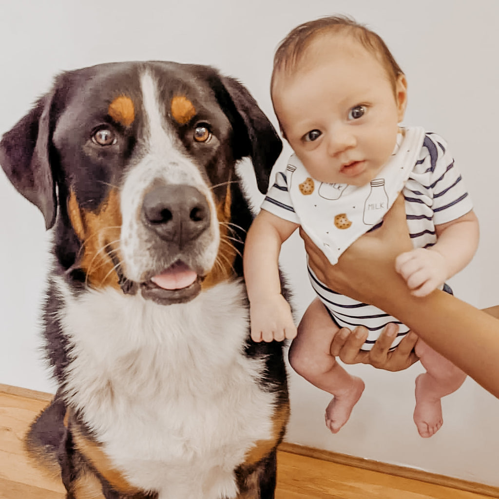 Bamboo Bandana Bibs - Mini (Newborn-6M) - KEWE Clothing 