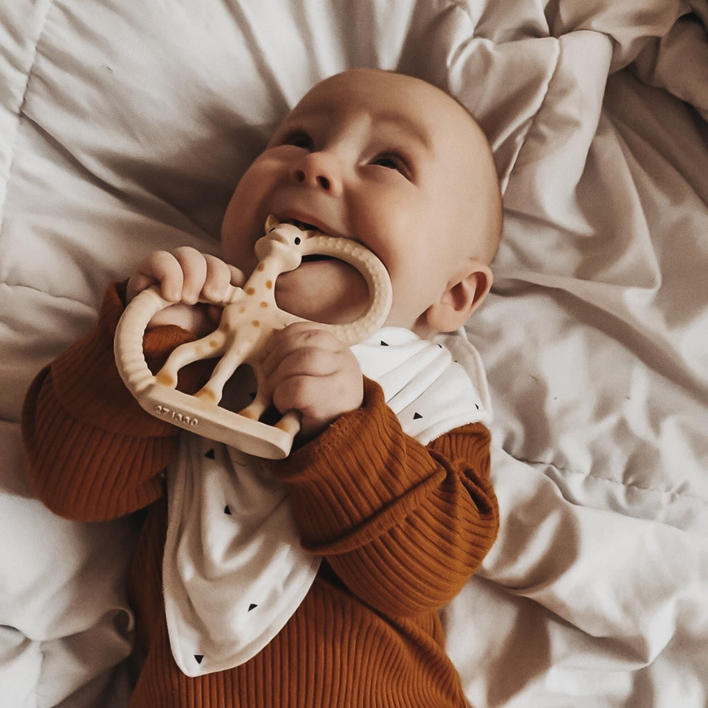 Organic Cotton Bandana Bibs - Large (6M+) - KEWE Clothing 