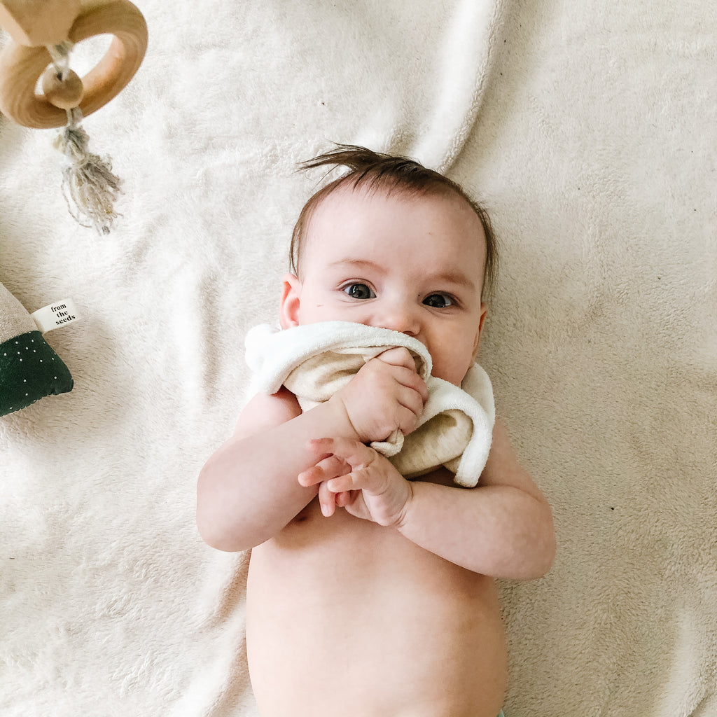 Mystery Bundle - 3 Large Bibs (6M+) - KEWE Clothing 